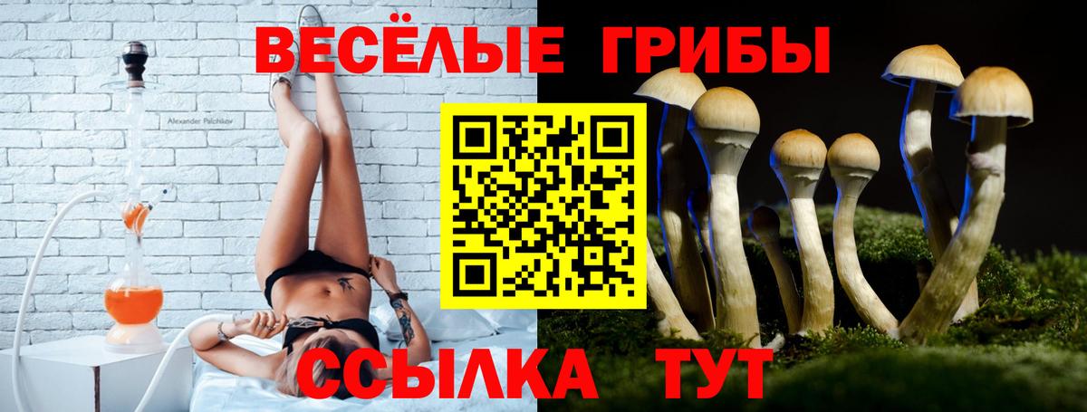 Галлюциногенные грибы Psilocybine cubensis Вязьма