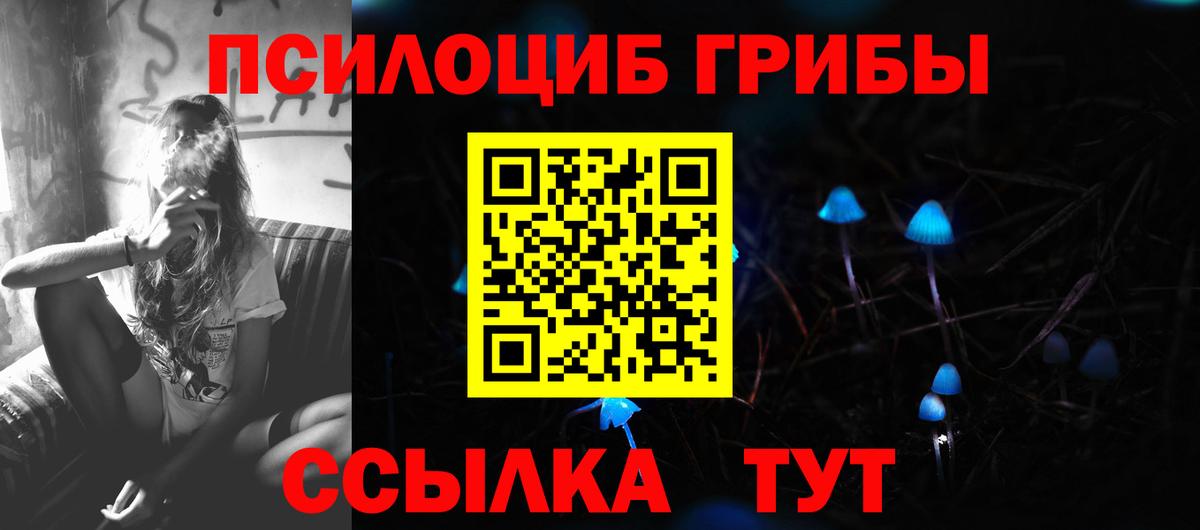 Галлюциногенные грибы мухоморы  Вход с VPN  купить наркотики цена  Вязьма 
