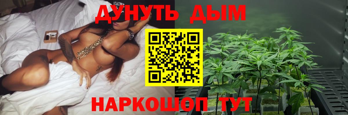 Каннабис план  Вход с VPN  Марихуана MAZAR  Вязьма  Каннабис сатива 